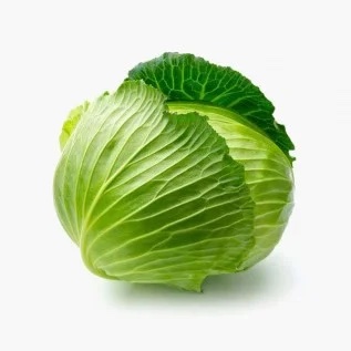 image of lettuce